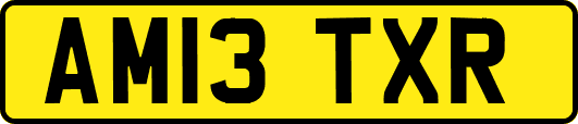 AM13TXR