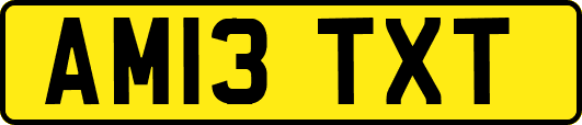 AM13TXT