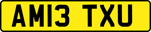 AM13TXU