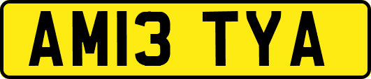 AM13TYA