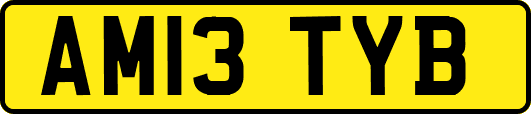 AM13TYB
