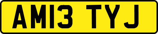 AM13TYJ