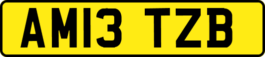 AM13TZB
