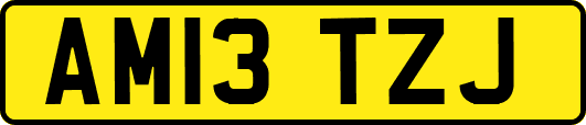 AM13TZJ