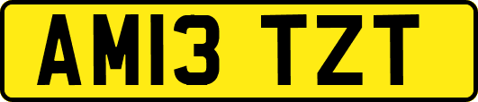 AM13TZT