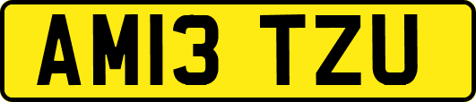 AM13TZU