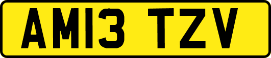 AM13TZV