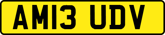 AM13UDV