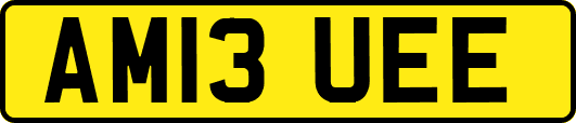 AM13UEE
