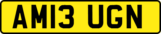 AM13UGN