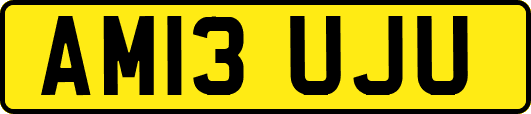 AM13UJU
