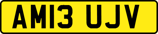 AM13UJV