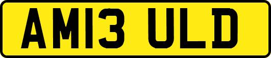 AM13ULD