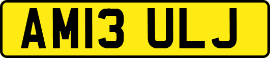 AM13ULJ