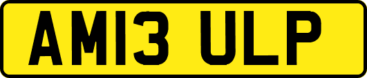 AM13ULP