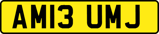 AM13UMJ