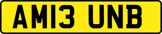 AM13UNB