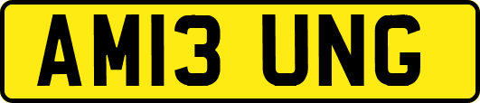 AM13UNG