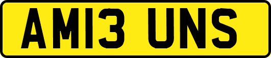AM13UNS