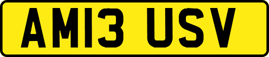 AM13USV