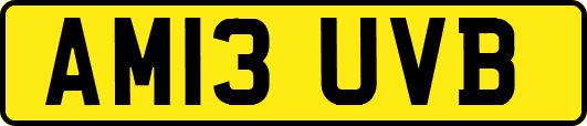 AM13UVB