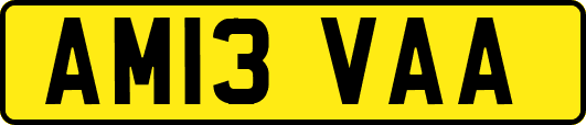 AM13VAA