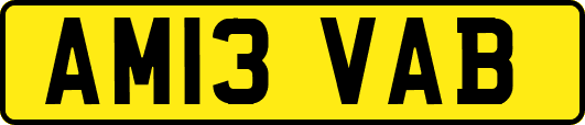 AM13VAB