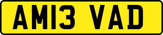 AM13VAD