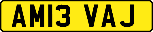 AM13VAJ