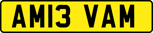 AM13VAM