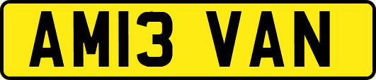 AM13VAN
