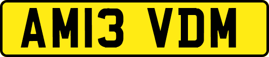 AM13VDM