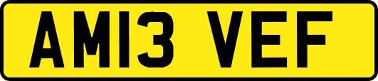 AM13VEF