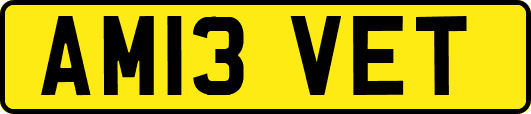 AM13VET
