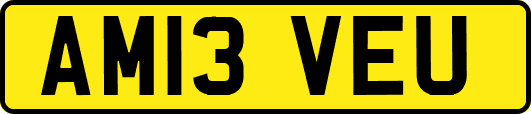 AM13VEU