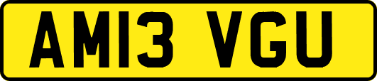 AM13VGU
