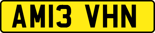 AM13VHN