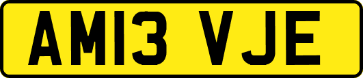 AM13VJE