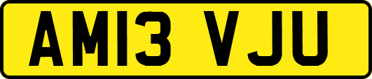 AM13VJU