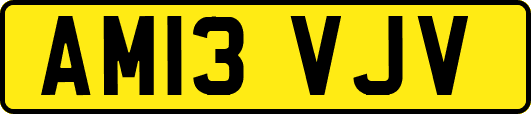 AM13VJV