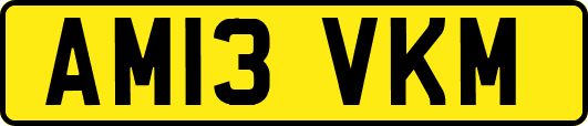AM13VKM
