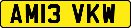 AM13VKW
