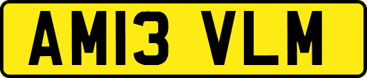AM13VLM