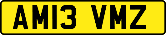 AM13VMZ
