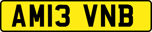 AM13VNB