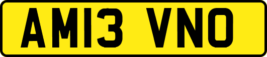 AM13VNO