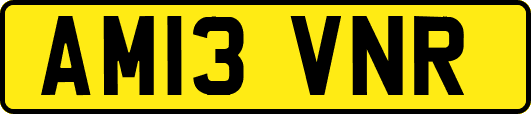 AM13VNR