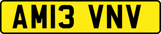 AM13VNV