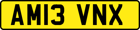 AM13VNX