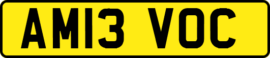 AM13VOC